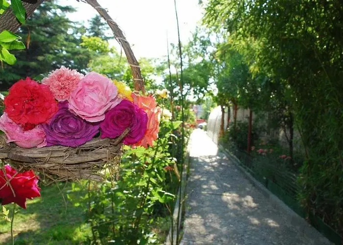 Trakia Garden 阳光海滩