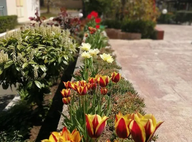 Отель Trakia Garden Солнечный берег