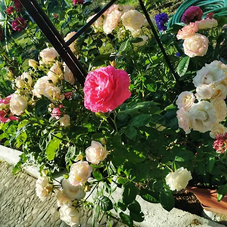 Trakia Garden فندق ساني بيتش