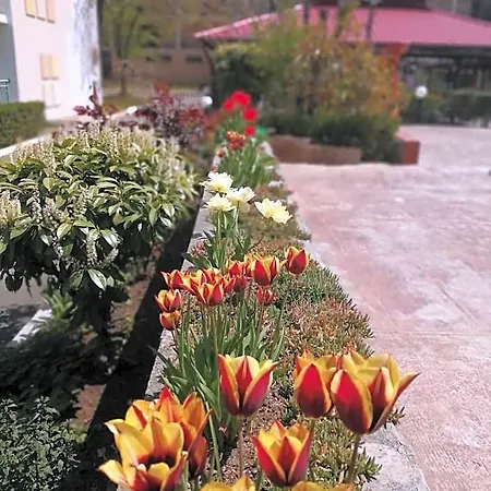 מלון Trakia Garden
