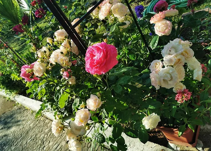 Trakia Garden Отель Солнечный берег